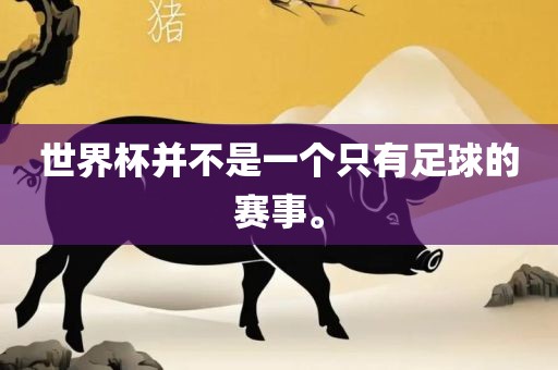 世界杯并不是一个只江门市永晋源无纺布有限公司有足球的赛事。