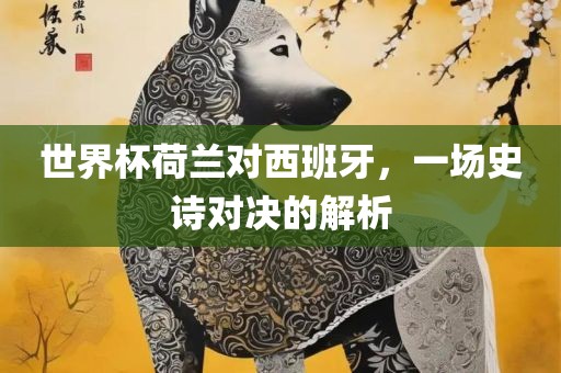 世界杯荷兰对西班牙，一场史诗对决的解析