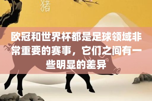 欧冠和世界杯都是足球领域非常重要的赛事，它们之间有一些明显的差异