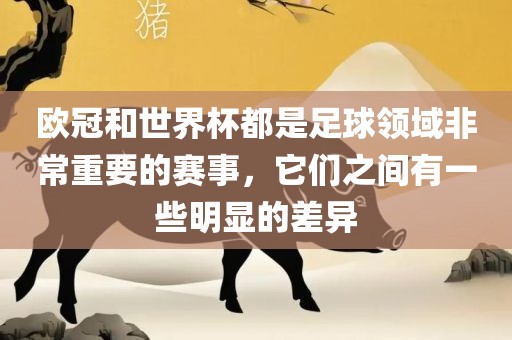 欧冠和世界杯都是足球领域非常重要的赛事，它们之间有一些明显的差异