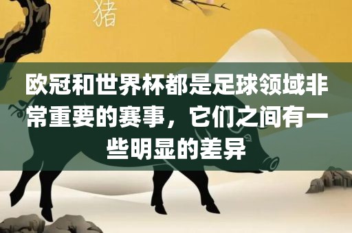 欧冠和世界杯都是足球领域非常重要的赛事，它们之间有一些明显的差异
