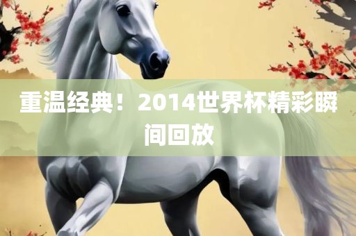 重温经典！2014世界杯精彩瞬间回放江门市永晋源无纺布有限公司