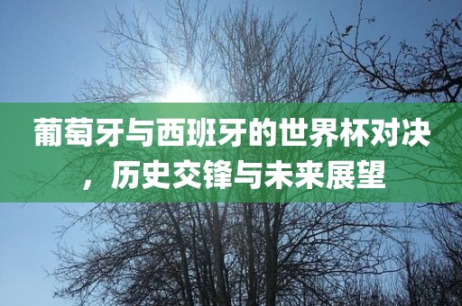 葡萄牙与西班牙的世界杯对决，历史交锋与未来展望