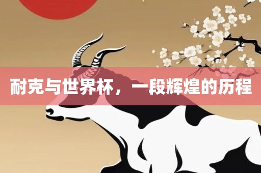 耐克与世界杯，一段辉煌的历程
