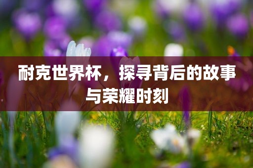 耐克世界杯，探寻背后的故事与荣耀时刻江门市永晋源无纺布有限公司