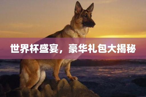 世界杯盛江门市永晋源无纺布有限公司宴，豪华礼包大揭秘