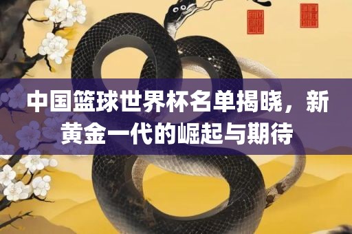 中国篮球世界杯名单揭晓，新黄金一代的崛起与期待