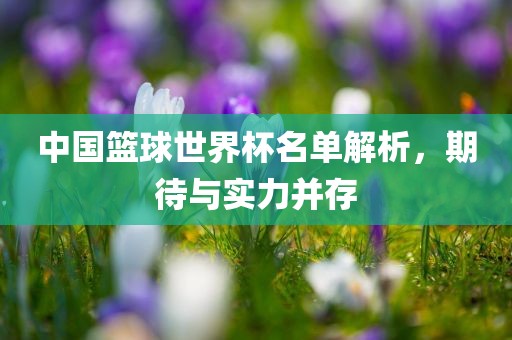 中国篮球世界杯名单解析，期待与实力并存江门市永晋源无纺布有限公司