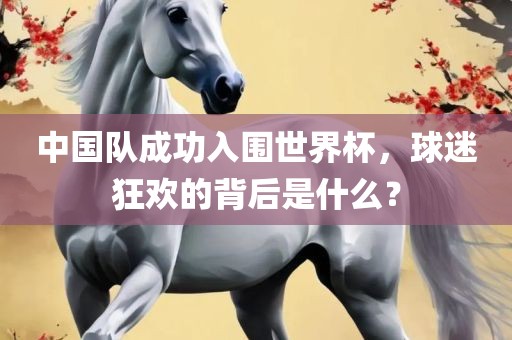 中国队成功入围世界杯，球迷狂欢的背后是什么？