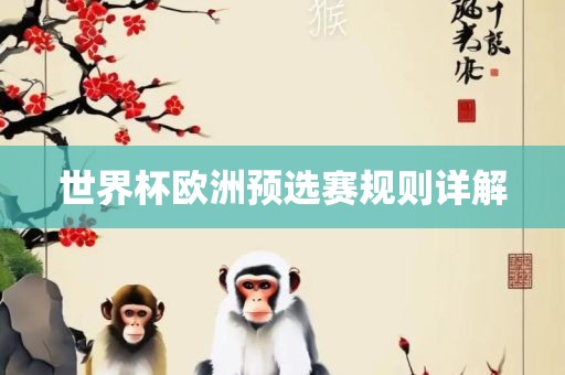 世界杯欧洲预选赛规则详解
