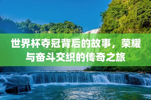 世界杯夺冠背后的故事，荣耀与奋斗交织的传奇之旅