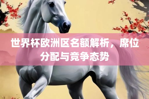 世界杯欧洲区名额解析，席位分配与竞争态势