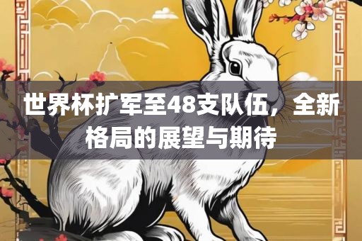 世界杯扩军至48支队伍，全新格局的展望与期待