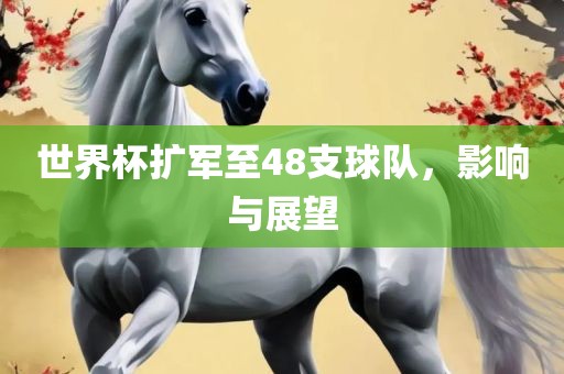 世界杯扩军至48支球队，影响与展望江门市永晋源无纺布有限公司