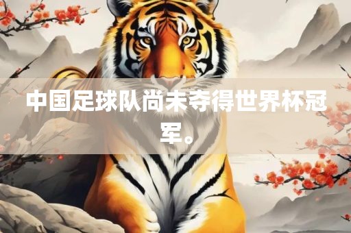 中国足球队尚未夺得世界杯冠军。