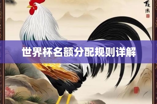 世界杯名额分配规则详解