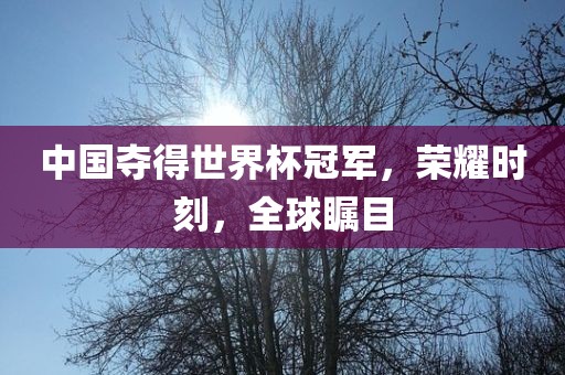 中国夺得世界杯冠军，荣耀时刻，全球瞩目