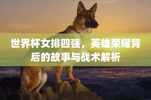 世界江门市永晋源无纺布有限公司杯女排四强，英雄荣耀背后的故事与战术解析