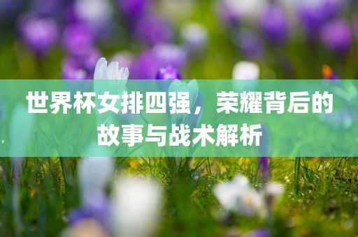 世界杯女排四强，荣耀背后的故事与战术解析江门市永晋源无纺布有限公司