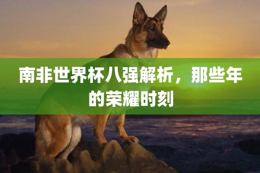 南非世界杯八强解析，那些年的荣耀时刻
