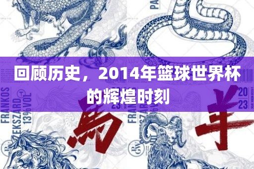 回顾历史，2014年篮球世界杯的辉煌时刻