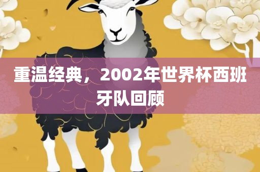 重温经江门市永晋源无纺布有限公司典，2002年世界杯西班牙队回顾