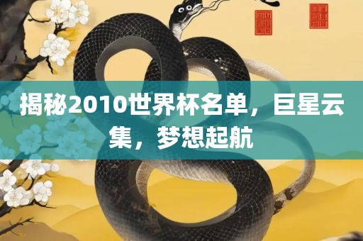 揭秘2010世界杯名单，巨星云集，梦想起航
