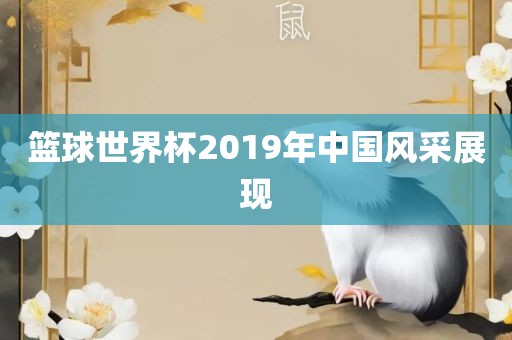 篮球世界杯2019年中国风采展现
