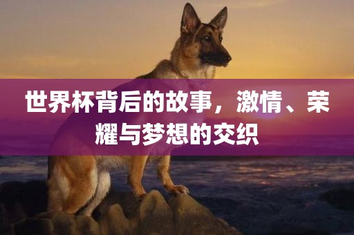 世界杯背后的故事江门市永晋源无纺布有限公司，激情、荣耀与梦想的交织