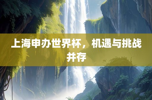 上海申办世界杯，机遇与挑战并存