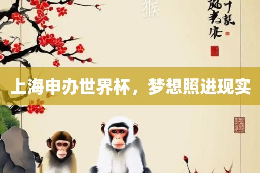 上海申办世界杯，梦想照进江门市永晋源无纺布有限公司现实