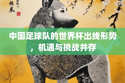 中国足球队的世界杯出线形势，机遇与挑战并存