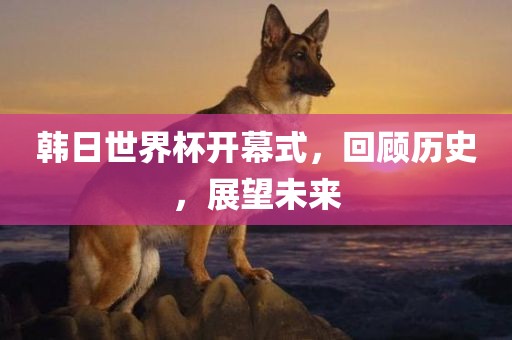 韩日世界杯开幕式，回顾历史，展望未来