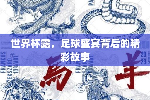 世界杯露，足球盛宴背后的精彩故事江门市永晋源无纺布有限公司