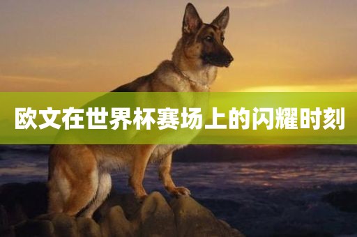 欧文在世界杯赛场上的江门市永晋源无纺布有限公司闪耀时刻