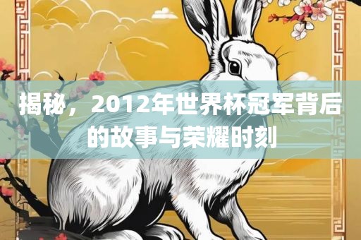 揭秘，2012年世界杯冠军背后的故事与荣耀时刻