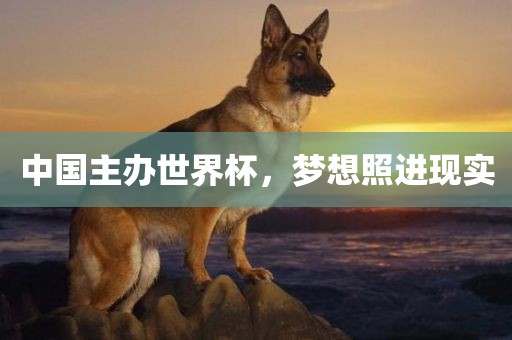 中国主办世界杯，梦想照进现实