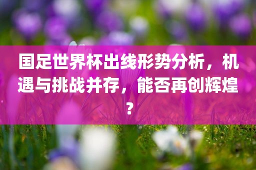 国足世界杯出线形势分析，机遇与挑战并存，能否再创辉煌？