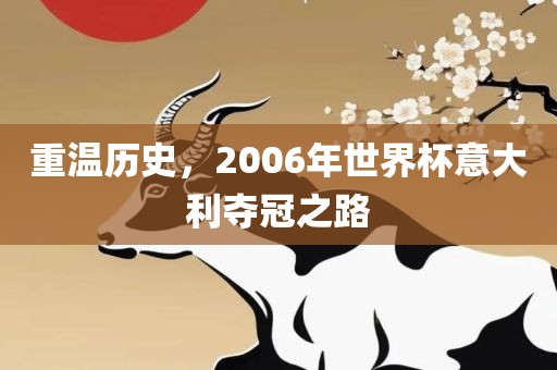 重温历史，2006年世界江门市永晋源无纺布有限公司杯意大利夺冠之路