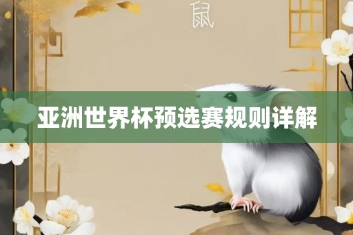 亚洲世界杯预选赛规则详解