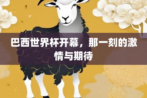 巴西世界杯开幕，那一刻的激情与期待江门市永晋源无纺布有限公司