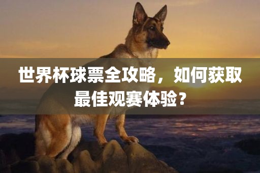 chenyunfa 第6页
