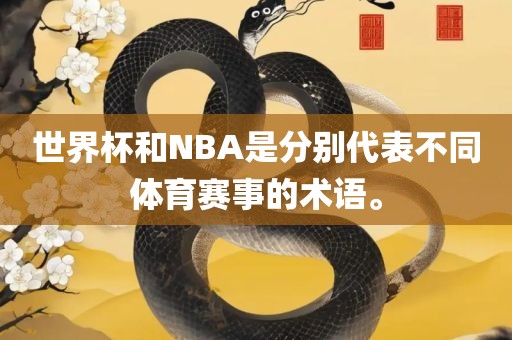 世界杯和NBA是分别代表不同体育赛事的术语。