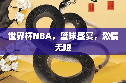 世界杯NBA，篮球盛宴，激情无限