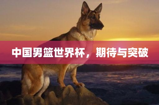 中国男篮世界杯，期待与突破