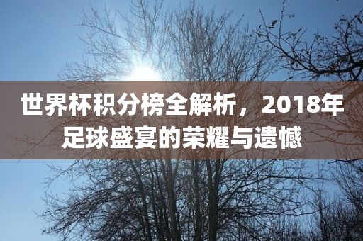 世界杯积分榜全解析，2018年足球盛宴的荣耀与遗憾
