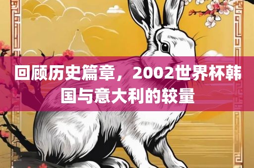 回顾历史篇章，2002世界杯韩国与意大利的较量