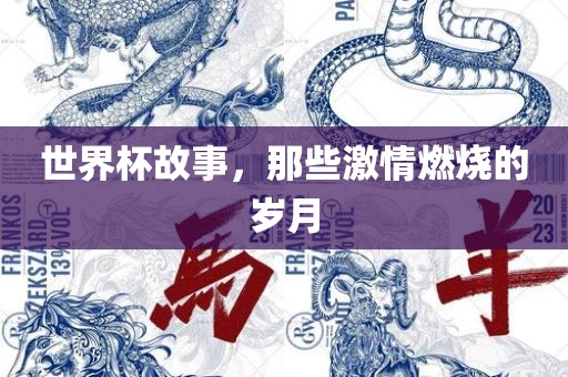 世界杯故事，那些激情燃烧的岁月