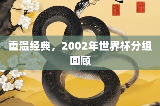 重温经典，2002年世界杯分组回顾