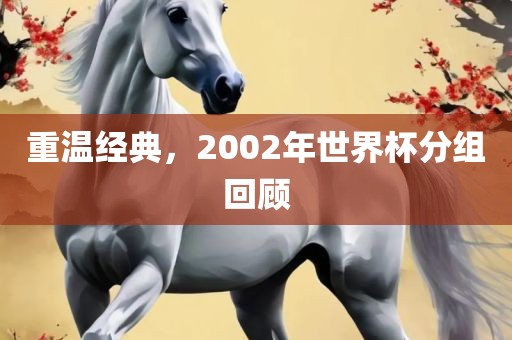 重温经典，2002年世界杯分组回顾江门市永晋源无纺布有限公司